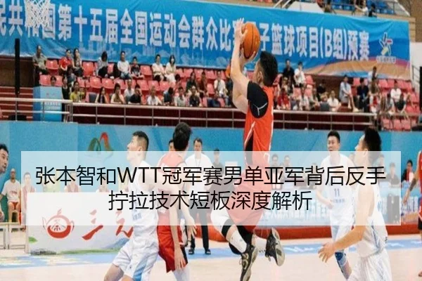 张本智和WTT冠军赛男单亚军背后反手拧拉技术短板深度解析