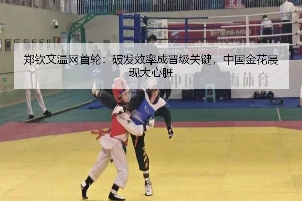 zheng-qin-wen-wen-wang-shou-lun-po-fa-xiao-lv-cheng-jin-ji-guan-jian-zhong-guo-jin-hua-zhan-xian-da-xin-zang-2-472.jpg