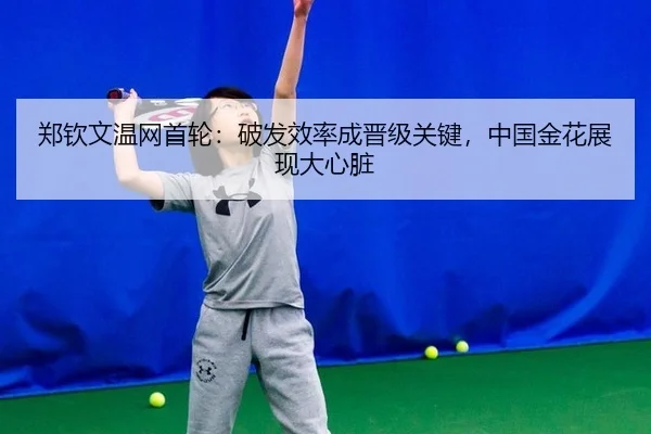 zheng-qin-wen-wen-wang-shou-lun-po-fa-xiao-lv-cheng-jin-ji-guan-jian-zhong-guo-jin-hua-zhan-xian-da-xin-zang-3-308.jpg
