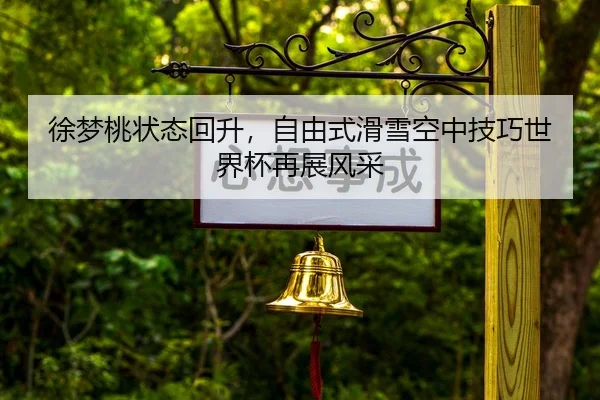 xu-meng-tao-zhuang-tai-hui-sheng-zi-you-shi-hua-xue-kong-zhong-ji-qiao-shi-jie-bei-zai-zhan-feng-cai-2-437.jpg