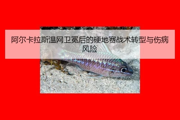 a-er-ka-la-si-wen-wang-wei-mian-hou-de-ying-di-sai-zhan-shu-zhuan-xing-yu-shang-bing-feng-xian-3-759.jpg